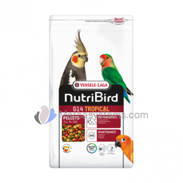 Versele Laga NutriBird G14 Tropical, 1kg (cibo manutenzione completa equilibrato )