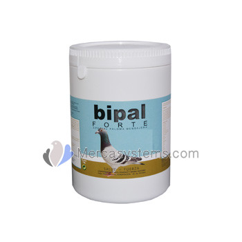 Bipal Forte 1 kg, (probiotici Premium di alta qualità, vitamine, minerali e aminoacidi).