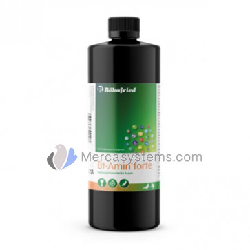 Rohnfried BT-Amin Forte 1 litro (contiene dosi elevate di amminoacidi, elettroliti e vitamine del gruppo B) 