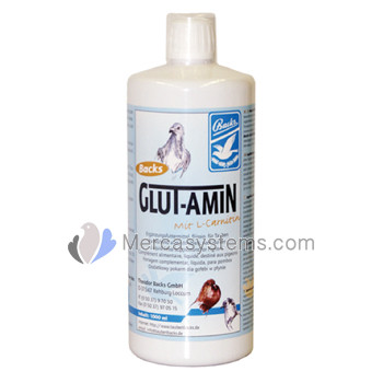 Backs Glut-Amin 1000 ml (aminoacidi, glucosio, vitamina B e di elettroliti). Per Piccioni. 
