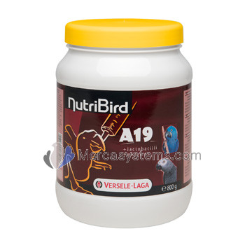 NutriBird A 19 800gr (birdfood completo per mano allevamento di pappagalli, eclectus, pappagalli dalla testa di falco, pappagalli cenerini e altri babybirds)