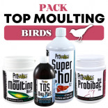 Pack Prowins Top Moulting Birds, (tutto inizia con un'eccellente muta)