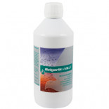 Belgica de Weerd BelgaGarlic + Vitamina E 500 ml (Aglio olio + vitamina E). prodotti per i piccioni 