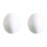 STA Grandi uovo di plastica per il piccione